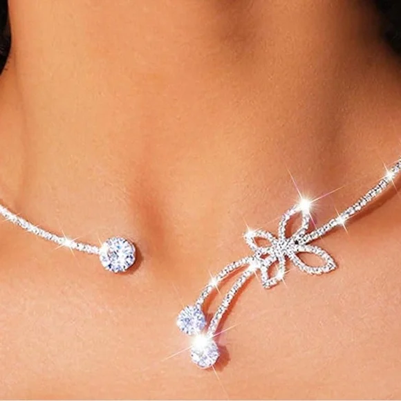 Elegant Silver Necklace with Crystal Accents - Picture 1 of 8
